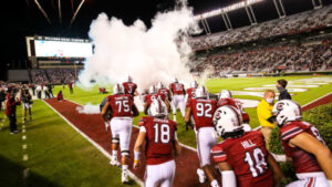 15736951c3ce48d27ac195df2a219eb4cd85a622c66050121e0898d4e1bf69e8