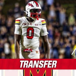 images - 2025-06-19T170548.426