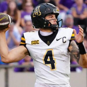 images - 2025-06-30T181744.463