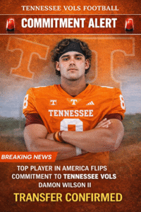 file_000000008cc8722fabcb7e737cbf1a98