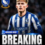 EXCLUSIVE! Sheffield Wednesday Pull Off Sensational Coup as Newcastle Accept £50M Package…
