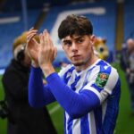 SWFC manager comments on strikers future after loan move…